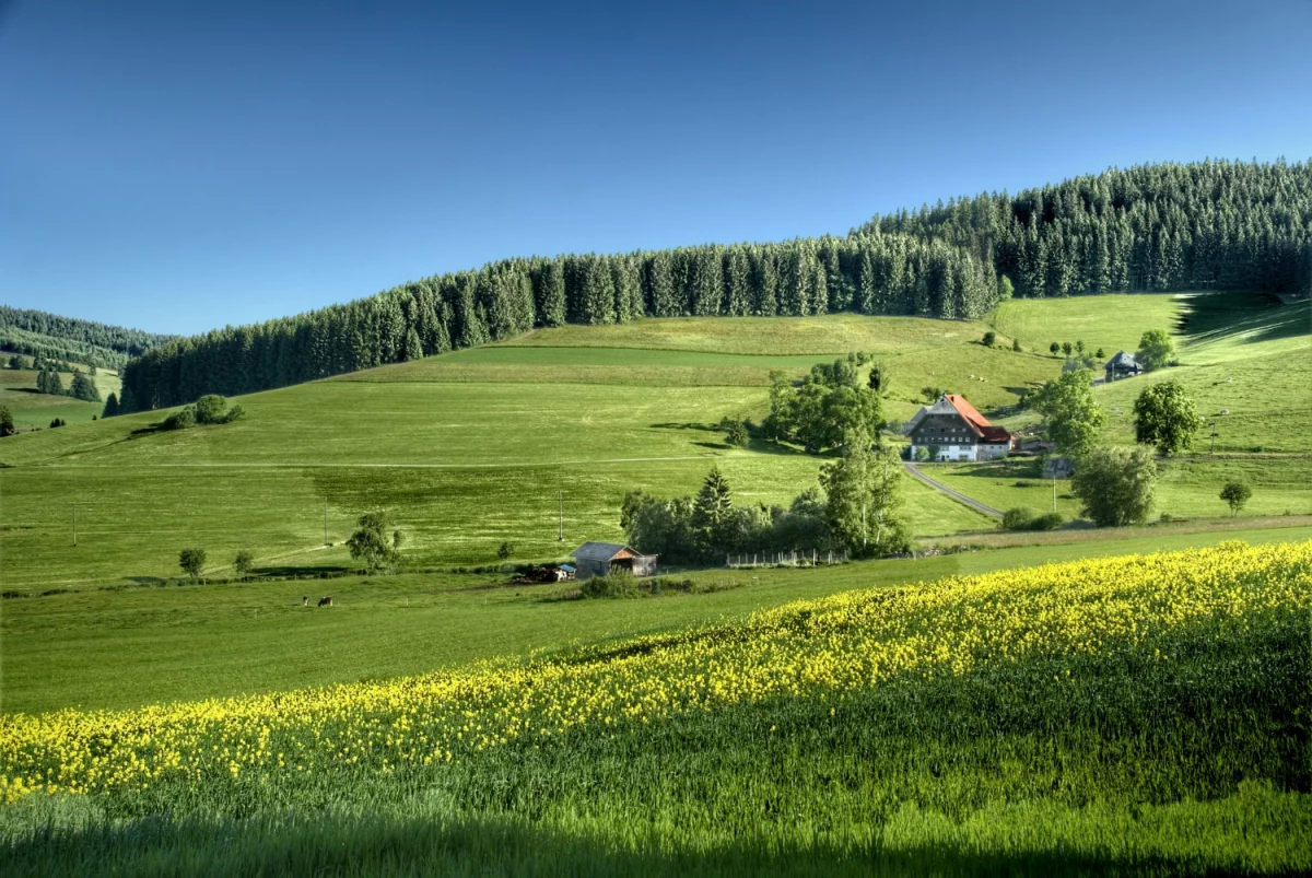 Kto musi mieć BDO Austria? obowiązki po stronie przedsiębiorcy  
5